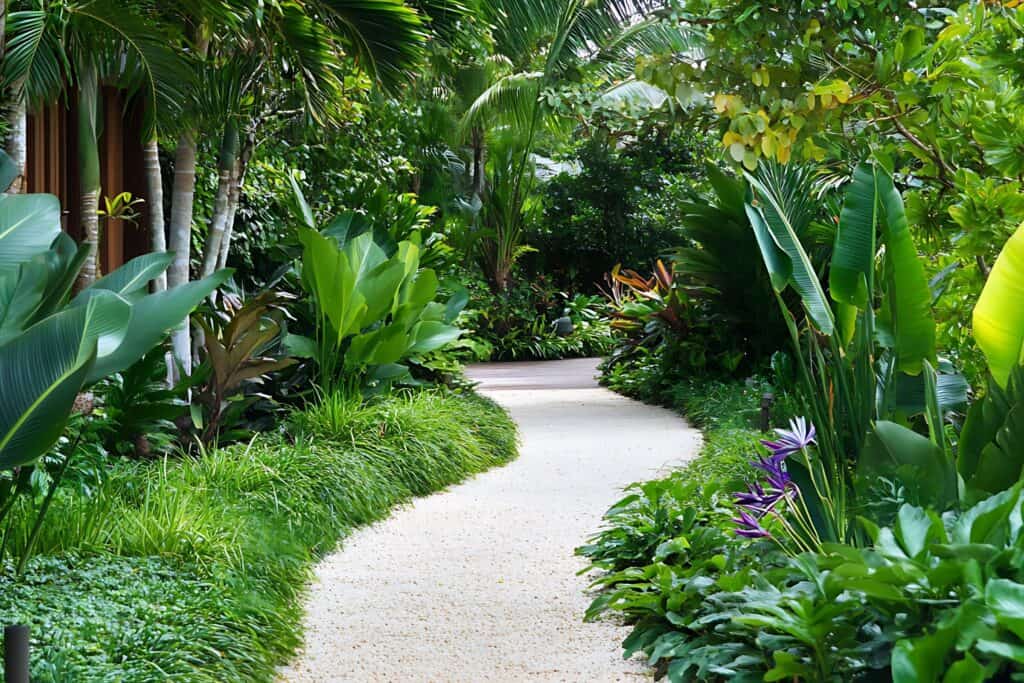 Lush tropical garden pathway in Big Island Hawaii, perfect for Kona and Kohala Coast outdoor living.