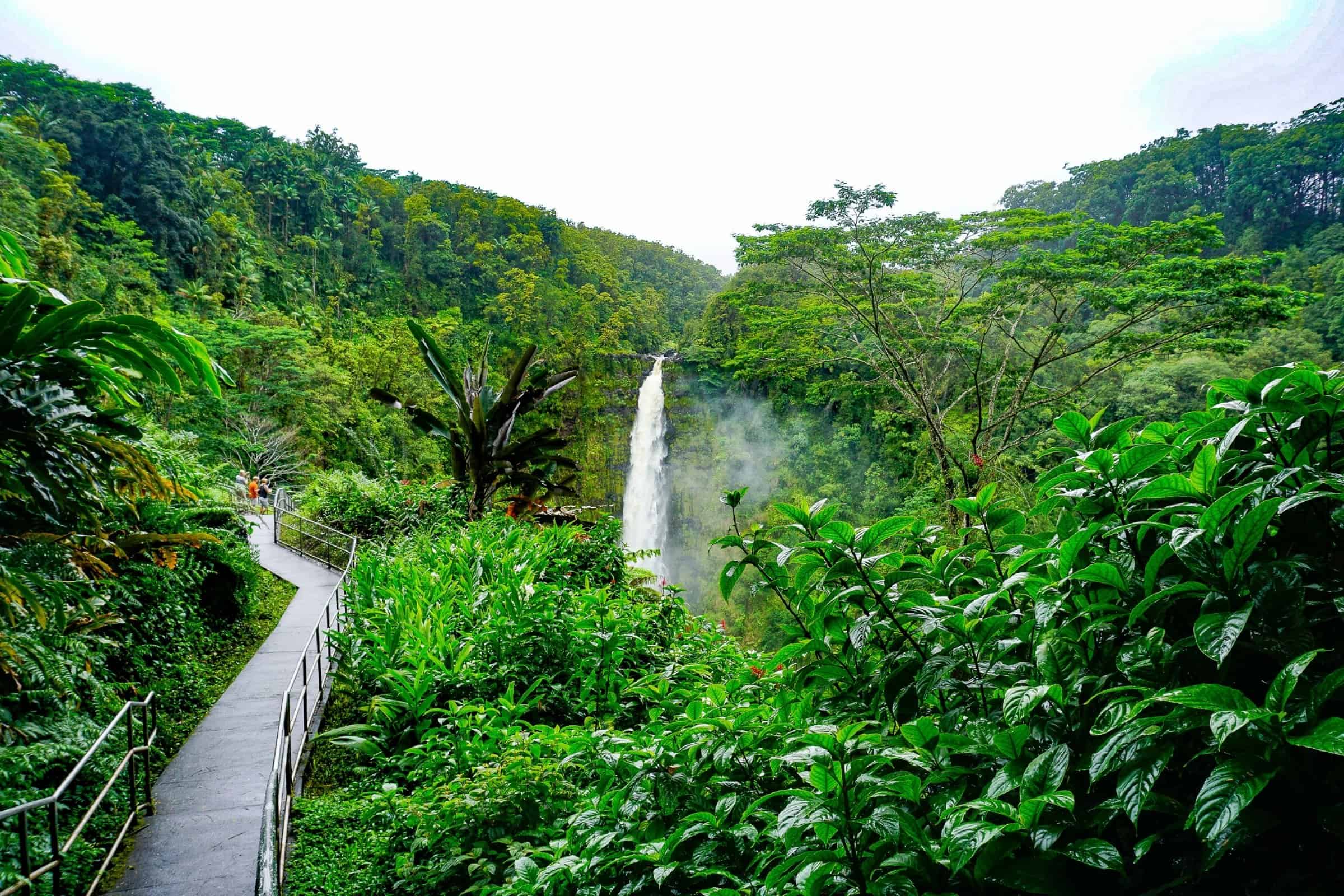 Scenic waterfall in lush Big Island Hawaii rainforest near Kona and Kohala Coast.