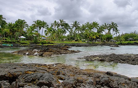 Protected shoreline pond ringed by palms and lava rock on the Hilo side of the Big Island.