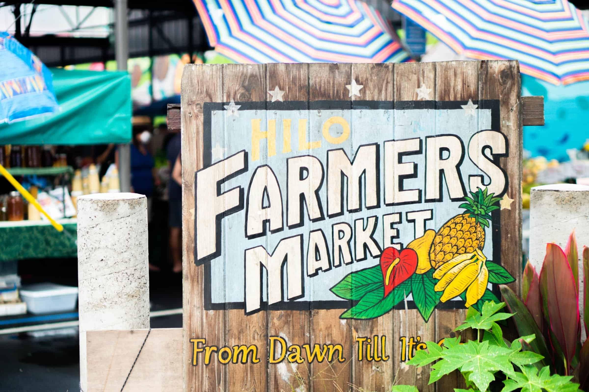 Living in Hilo Hawaii - What to know, Things to Do