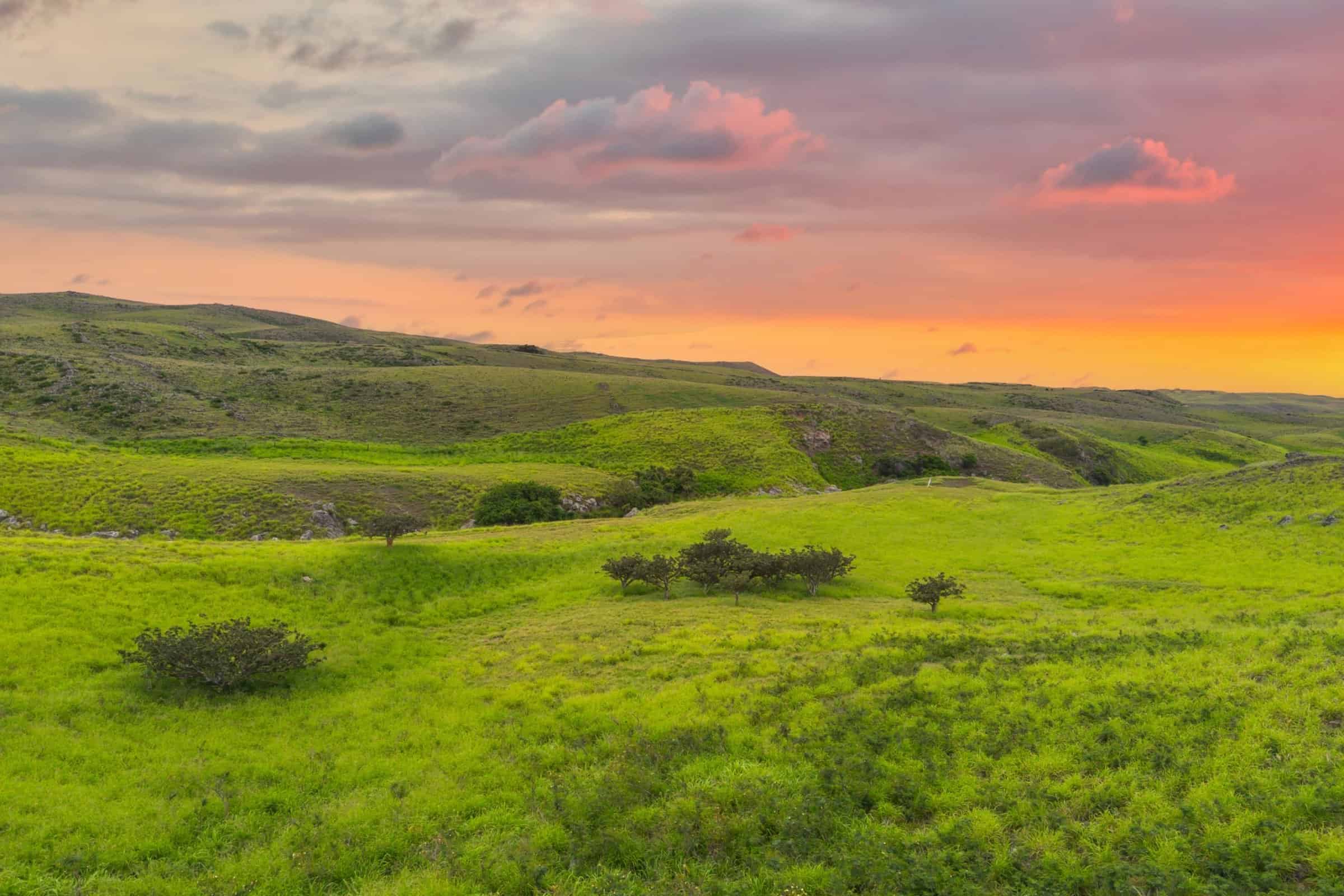 North Kohala Land for Sale