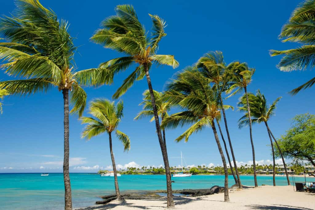 Luxury oceanfront condo in Kohala Coast with tropical palm trees and white sand beach.