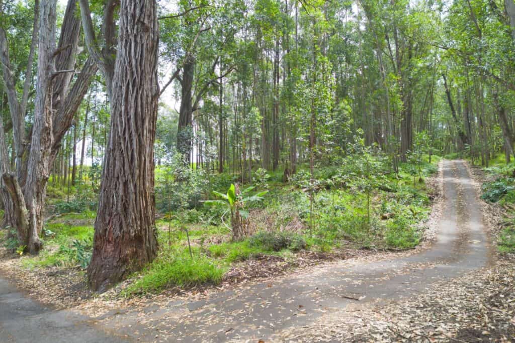 Best Big Island Realtor we could have hoped for! Sold Our Hamakua Vacant Land - Super Smooth.