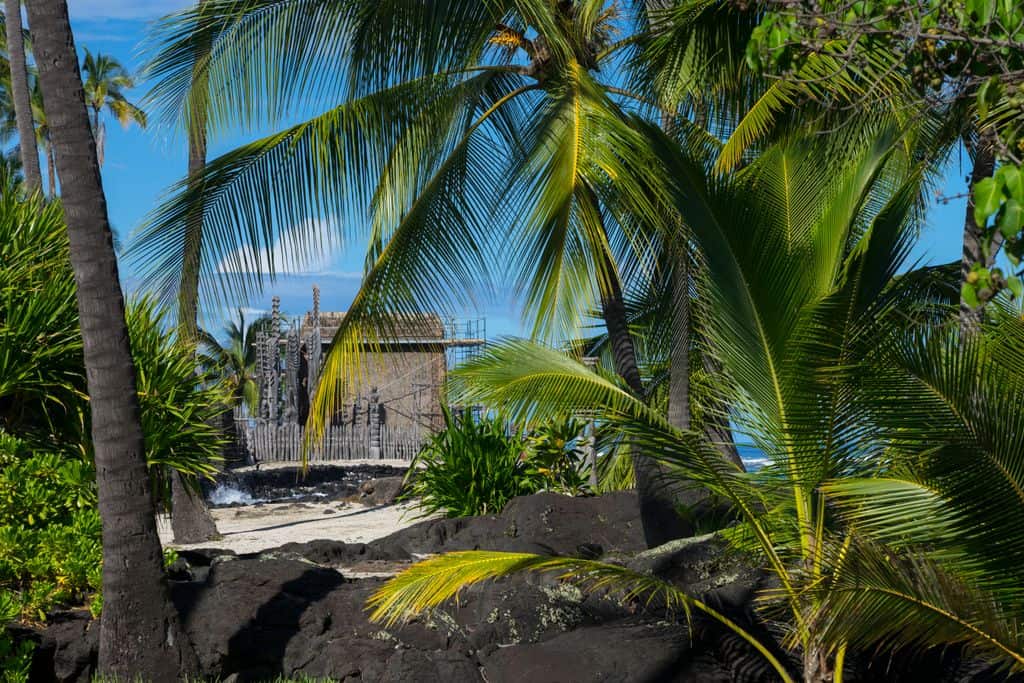 Luxury oceanfront estate in Kona with tropical landscaping and resort-style living.