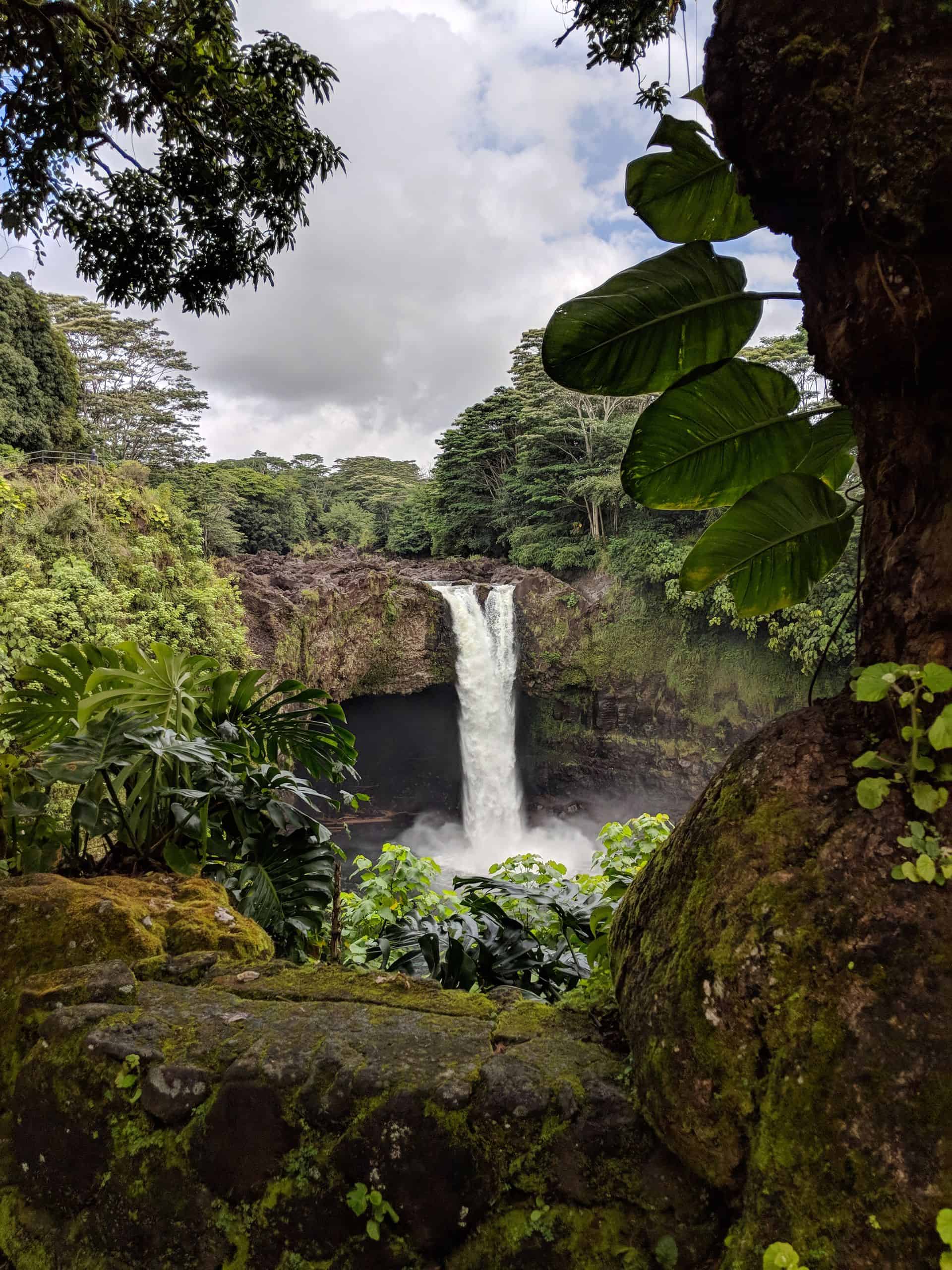 Breathtaking view of Rainbow Falls cascading amidst vibrant jungle foliage in Hilo, Hawaii.