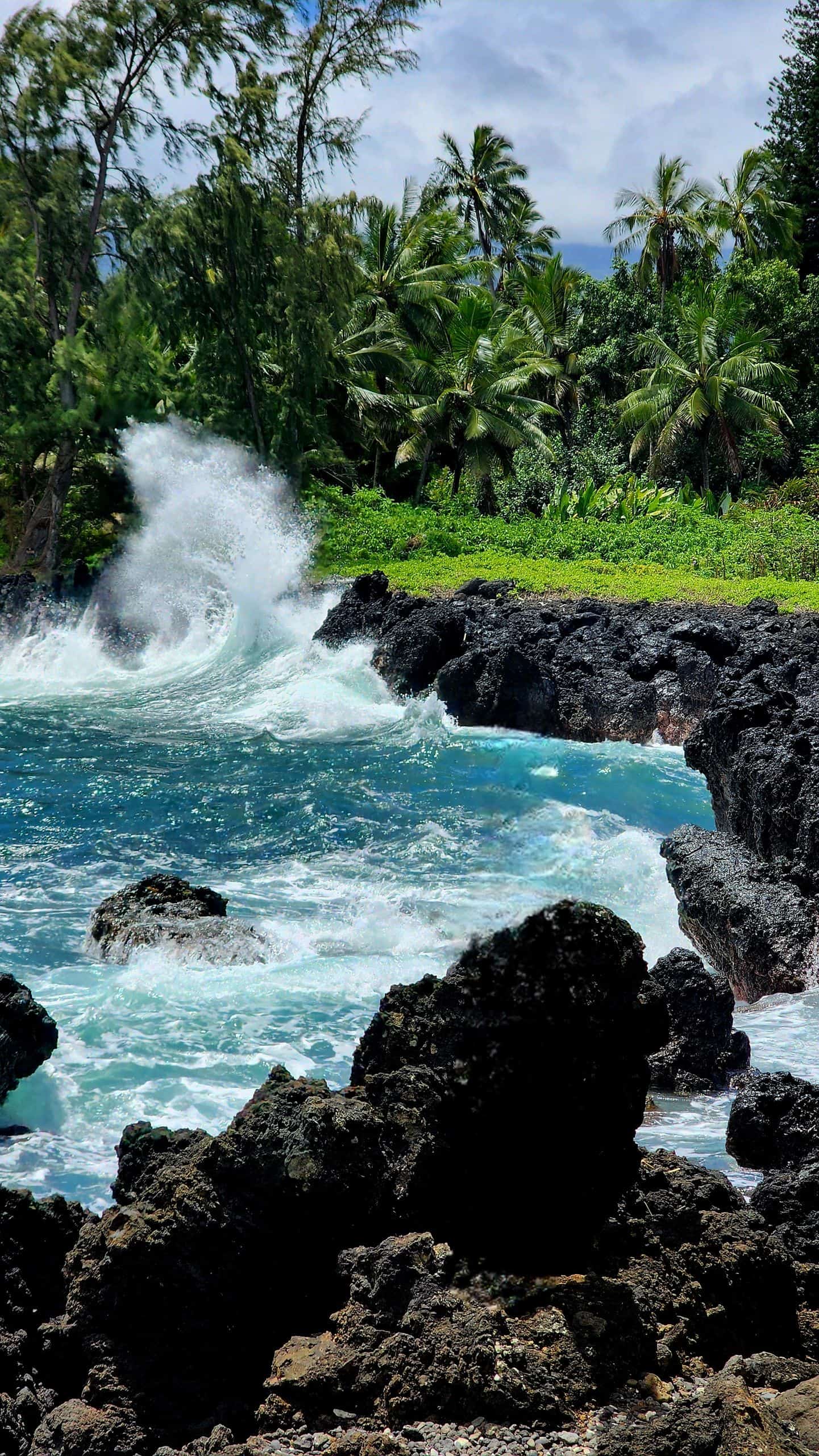 Oceanfront estate on Big Island Hawaii with lush tropical landscape and ocean access.