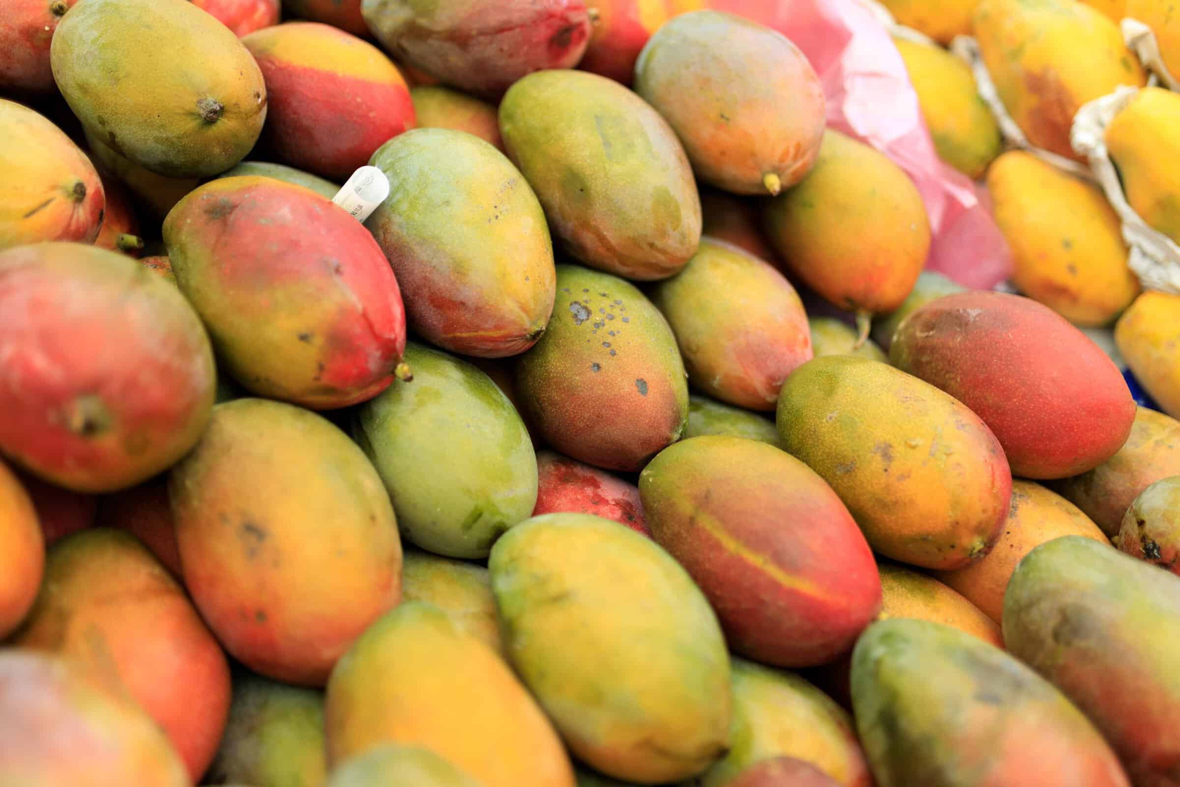 Colorful pile of ripe mangos on display at an outdoor farmer's market, ready for sale.