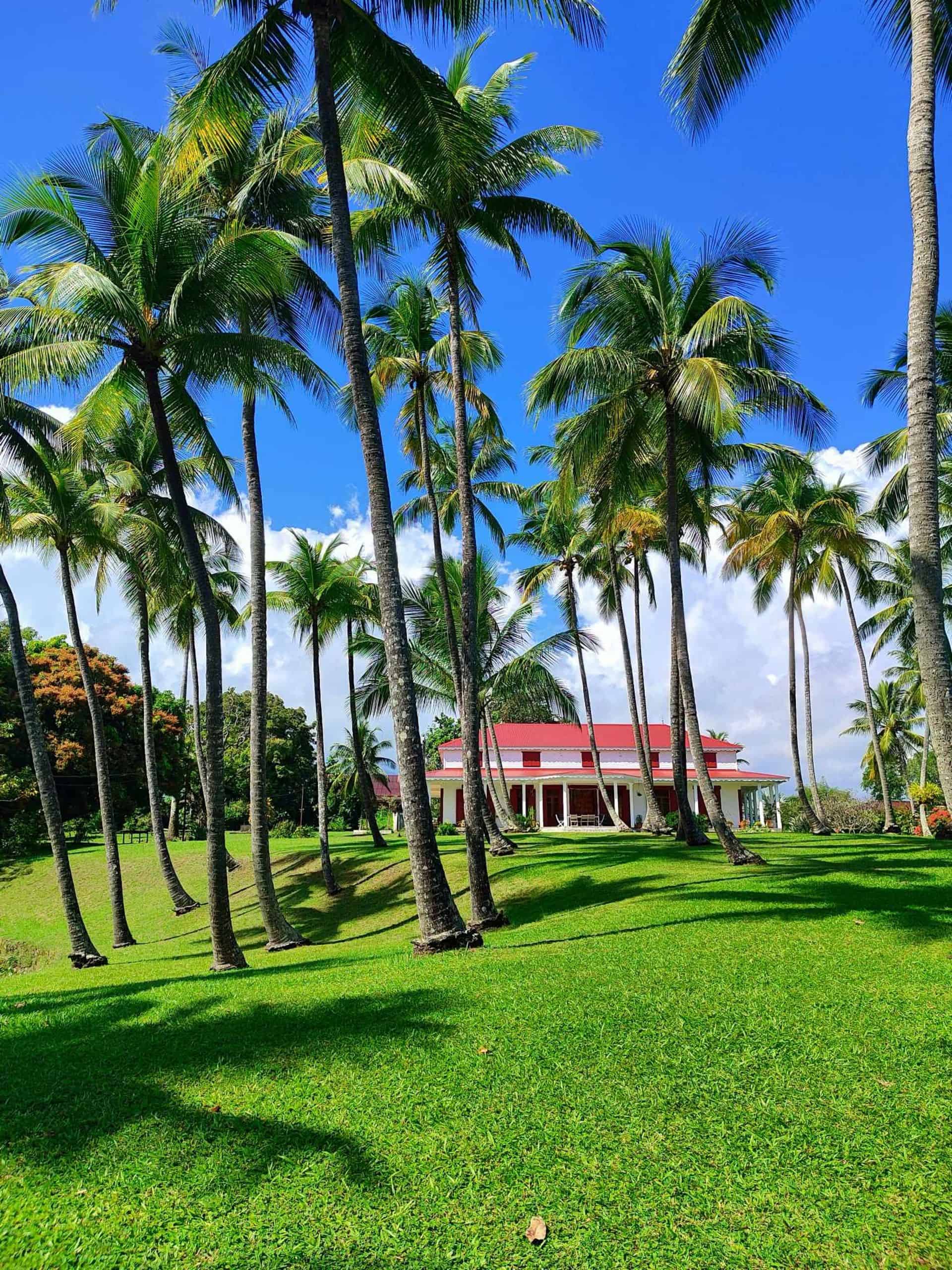 Luxury oceanfront home in Kona with tropical palm trees and lush landscape.