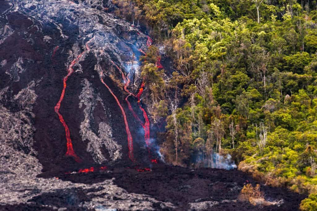 Lava flow on Big Island Hawaii near lush green forest, ideal for luxury real estate buyers.