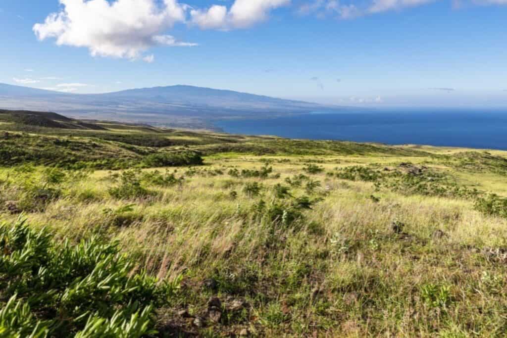 Kohala Ranch Land For Sale