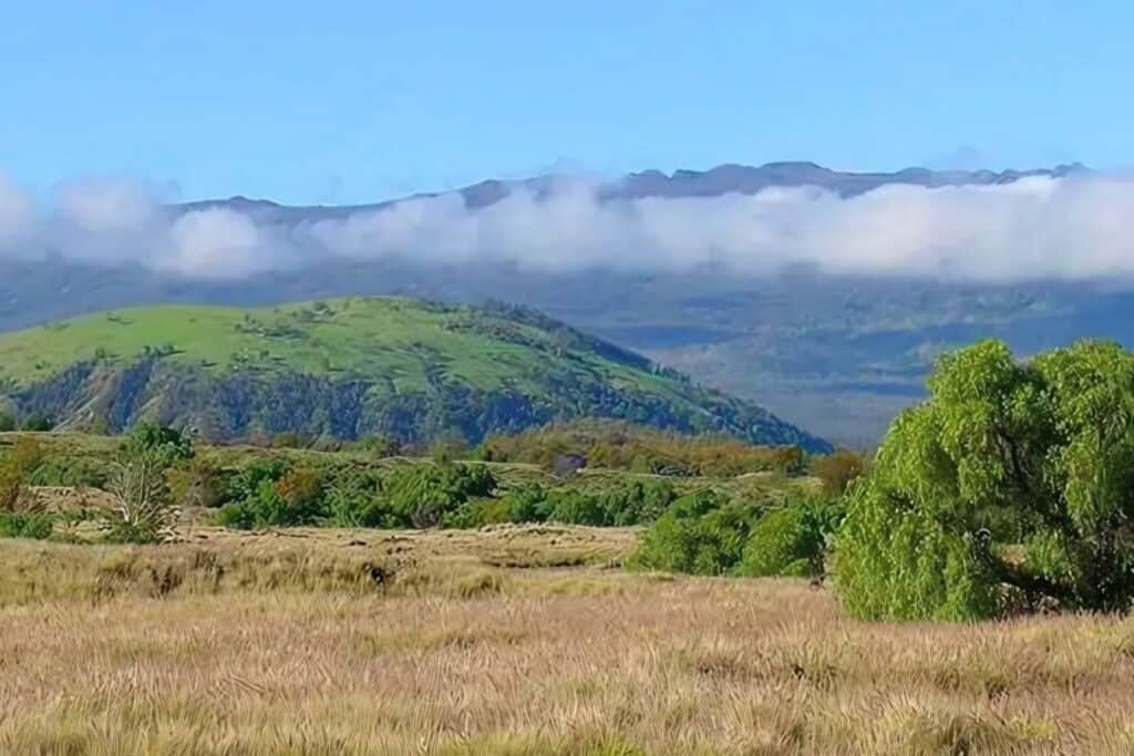 The green cinder cone of Puu Waawaa rising above dry grassland north of Kailua-Kona.