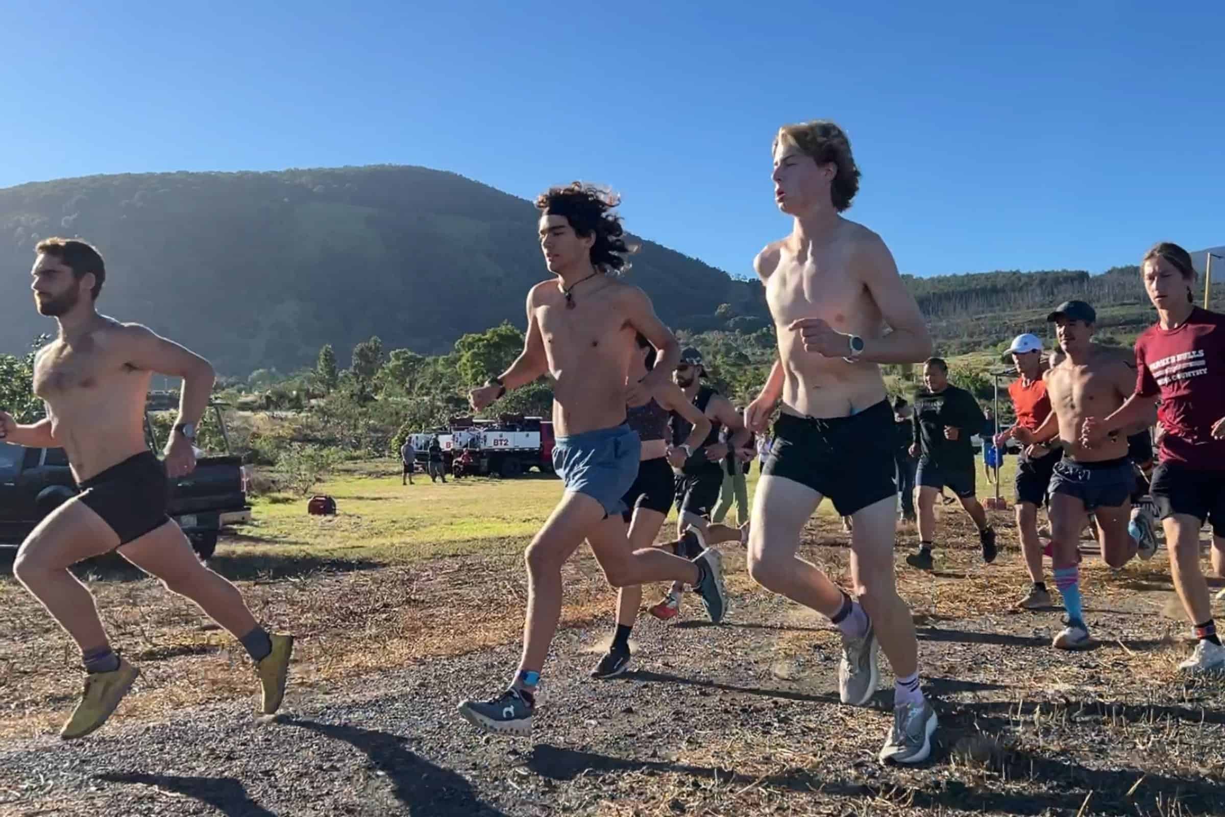 Runners climbing a dry forest trail at Puu Waawaa during the Run for the Dry Forest.