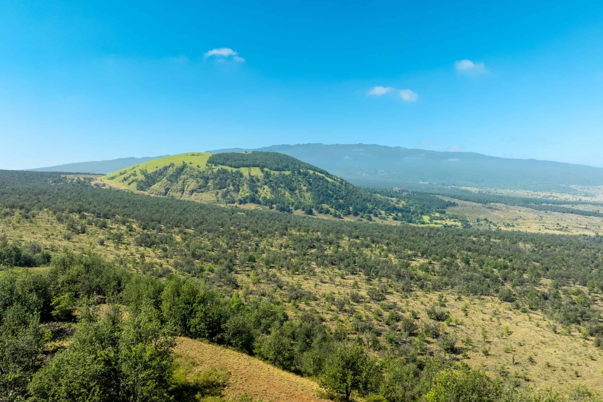 Puu waawaa Forest Reserve - Puu Lani Ranch Trails